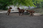 2011-04-23_19-23-32_DSC_7839.jpg