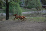 2011-04-23_19-23-46_DSC_7841.jpg