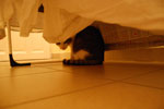 2011-04-23_21-16-56_DSC_7890.jpg