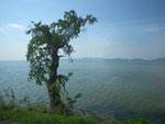 2011-04-24_15-51-23_IMGP0276.jpg