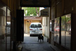 2011-04-25_12-55-30_DSC_7902.jpg