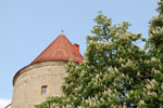 2011-04-25_14-09-08_DSC_7944.jpg