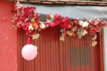2011-04-25_14-21-45_DSC_7960.jpg