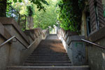 2011-04-25_15-11-42_DSC_7992.jpg