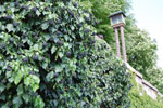 2011-04-25_15-34-52_DSC_8028.jpg