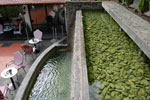 2011-04-25_15-37-32_DSC_8033.jpg