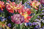 2011-04-25_16-28-56_DSC_8053.jpg