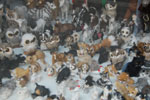 2011-04-25_16-34-28_DSC_8057.jpg