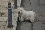 2011-04-26_10-03-28_DSC_8156.jpg