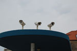 2011-04-26_10-35-34_DSC_8207.jpg