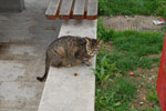 2011-04-26_10-35-44_DSC_8208.jpg