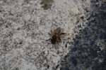2011-04-27_17-24-18_DSC_8327.jpg