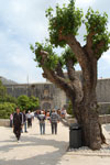 2011-04-28_12-36-57_DSC_8504.jpg