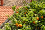 2011-04-28_13-03-09_DSC_8573.jpg