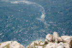 2011-04-28_13-10-48_DSC_8601.jpg