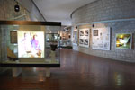 2011-04-28_13-26-33_DSC_8643.jpg