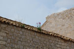 2011-04-28_14-09-26_DSC_8683.jpg