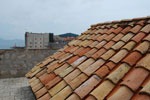 2011-04-28_14-10-31_DSC_8687.jpg