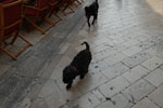 2011-04-28_16-18-40_DSC_8887.jpg