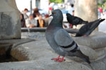 2011-04-28_16-45-28_DSC_8914.jpg