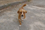 2011-04-30_14-48-35_DSC_8960.jpg