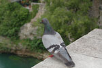 2011-04-30_15-15-21_DSC_9004.jpg