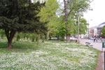 2011-05-02_15-42-45_DSC_9281.jpg