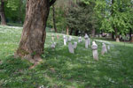 2011-05-02_15-45-11_DSC_9283.jpg