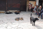 2011-05-02_16-38-20_DSC_9330.jpg