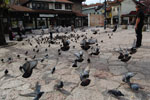 2011-05-02_16-40-26_DSC_9339.jpg