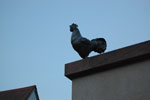 2011-05-05_20-49-42_DSC_9405.jpg