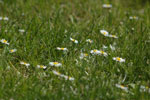2011-05-07_13-45-58_DSC_9505.jpg