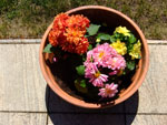 2011-05-09_13-01-44_DSCF4314.jpg