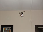 2011-05-09_18-39-42_DSCF4327.jpg