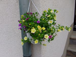 2011-05-11_16-35-12_DSCF4338.jpg
