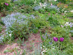 Photos
