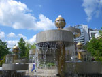 Photos