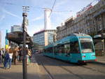 IMGP0596.jpg