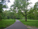 2011-05-20_17-10-22_IMGP0639.jpg