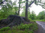 2011-05-20_17-15-30_IMGP0641.jpg