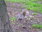 2011-05-23_17-32-26_DSCF4460.jpg