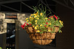 2011-05-25_18-16-38_DSC_9836.jpg