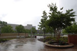 2011-05-26_17-32-28_DSC_0017.jpg