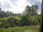 2011-05-27_11-50-40_IMGP0745.jpg
