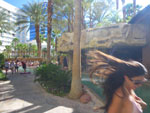 2011-06-05_16-56-39_IMGP1482.jpg