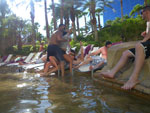 2011-06-05_17-17-24_IMGP1511.jpg
