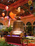 2011-06-05_23-48-50_IMGP1559.jpg