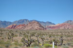 2011-06-06_14-49-43_DSC_0683.jpg