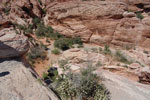 2011-06-06_14-59-17_DSC_0723.jpg