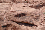 2011-06-06_15-00-00_DSC_0729.jpg